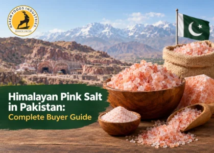 Himalayan Pink Salt in Pakistan – Complete Buyer Guide Himalayan pink salt from Pakistan with Naeem Foods Industries logo